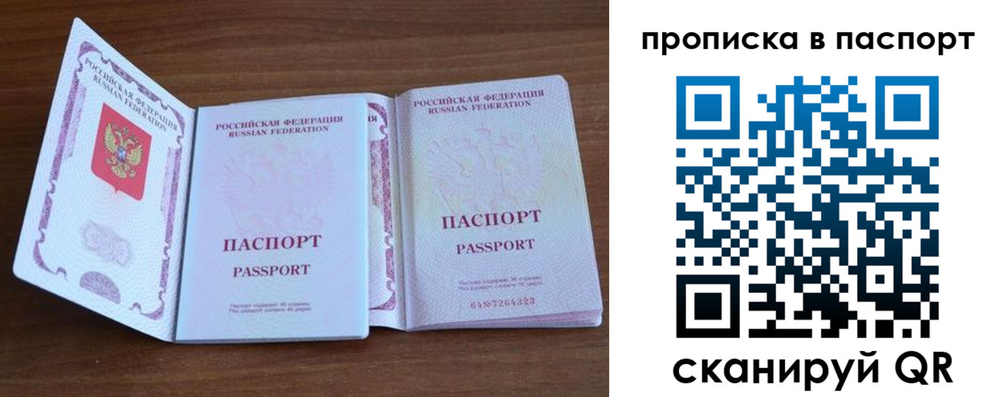 временная регистрация поиск в Балашихе
